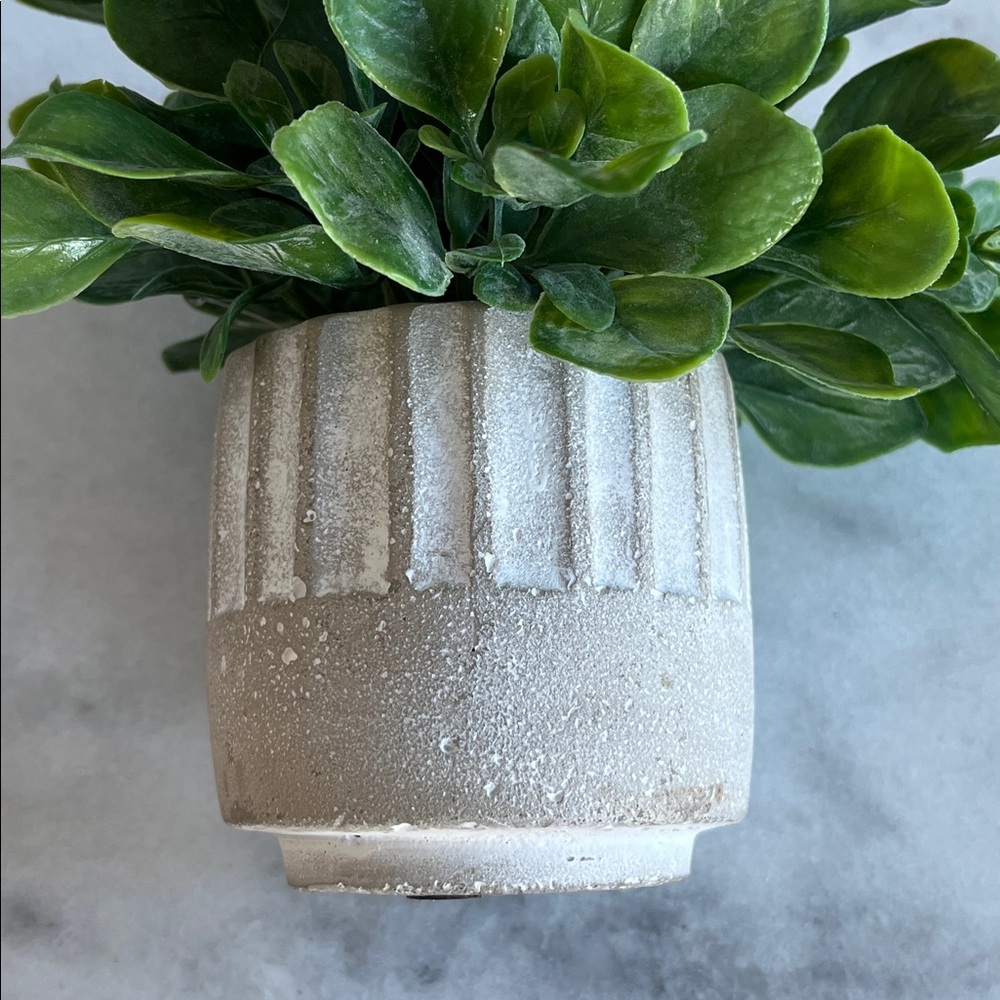 Faux Jade Plant in Stone Pot Home Decor - Picture 4 of 6